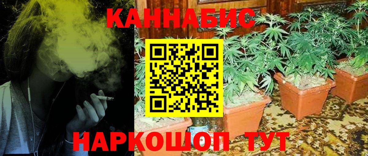 Бошки марихуана сатива  Вход с VPN  Каннабис THC 21%  Конопля Amnesia  Мичуринск 